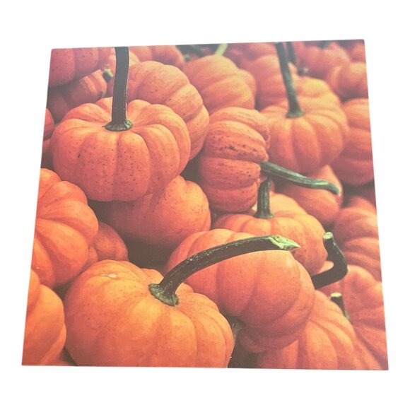 Craft Smith Autumn Dream 12x12 Scrapbook Paper Pad 46 Acid Free Sheet Fall Theme - Picture 11 of 16